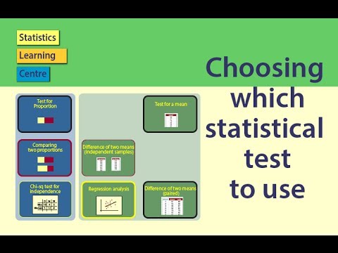 Statistical Testing in Science: Unveiling Reliable Results