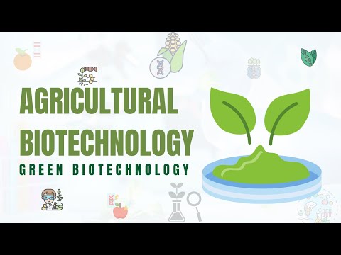Innovations in Plant Biotechnology for a Sustainable Future