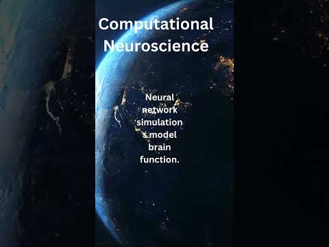 Neural Processing: Unraveling Brain Function and Connectivity