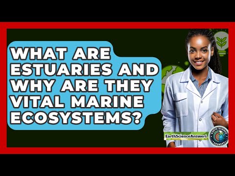 Vital Roles of Marine Ecosystems in Global Health