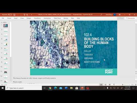 The Human Skeleton: Building Blocks of Our Body