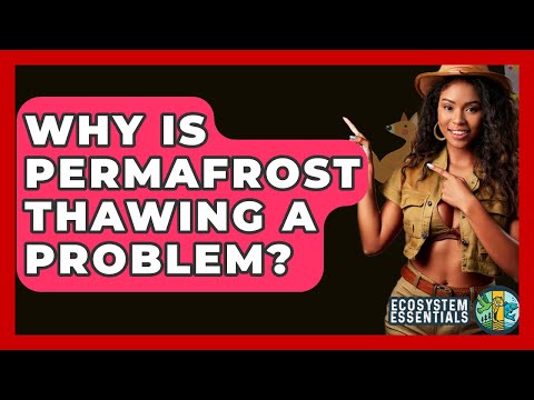 Permafrost Thawing: Implications for Climate and Ecosystems