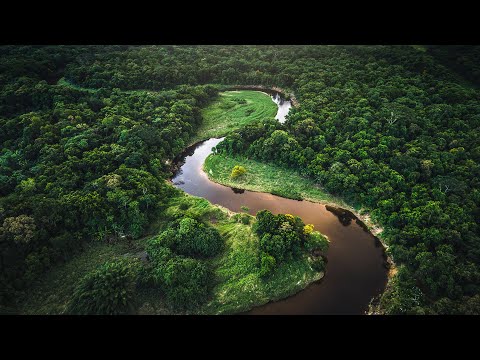 International Energy Agency Promotes Sustainable Solutions