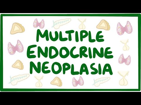 The Role of the MEN1 Gene in Endocrine Disorders