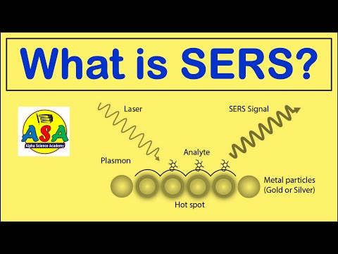 Raman Spectrometry in Modern Scientific Research and Applications