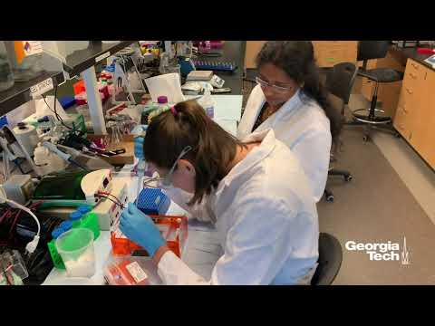 Innovations in Medical Bioengineering for Health Solutions