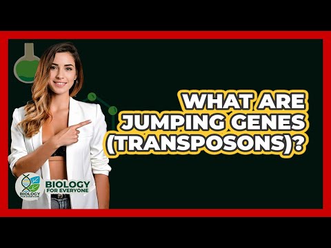 Jumping Genes: Their Role in Evolution and Genetic Diversity