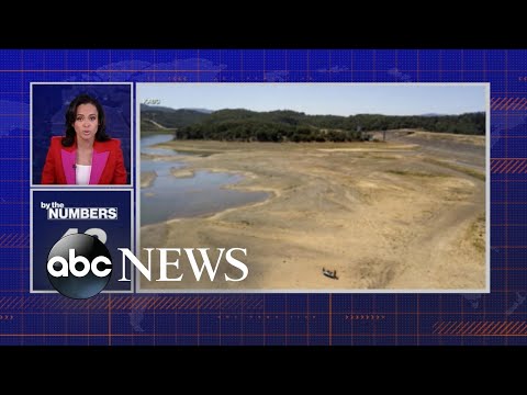 Projected Sea Level Rise by 2050 and Its Implications