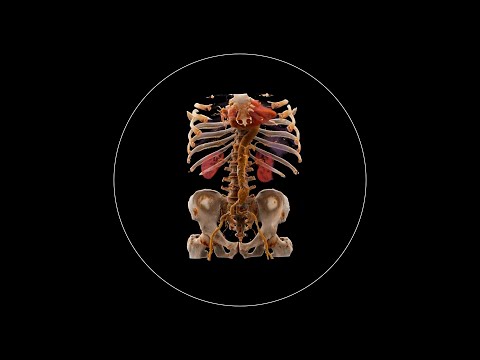 Advancements in Medical Imaging Technology and Research