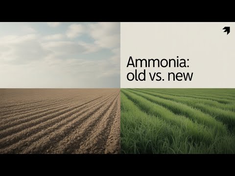Harnessing Green Ammonia for Sustainable Energy Solutions