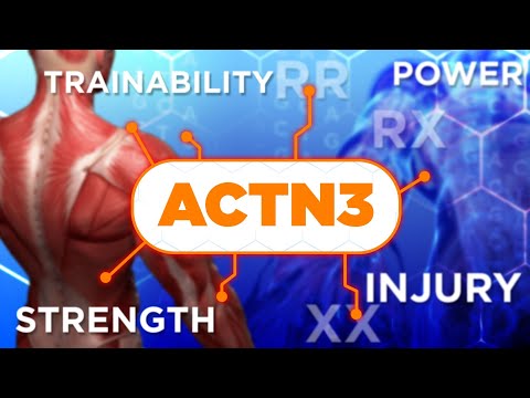 The Role of ACTN3 Gene in Athletic Performance and Muscle Type