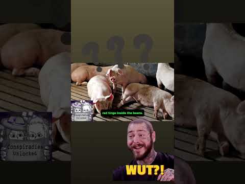 Innovations in Genetically Modified Soybeans and Their Benefits