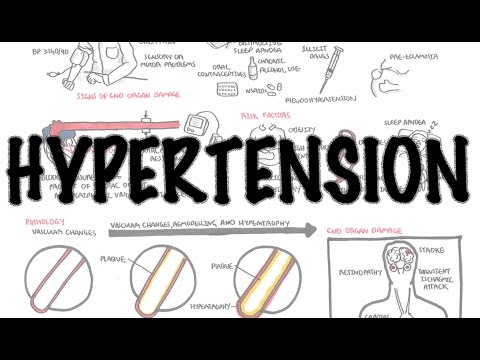 Hypertension Pathology: Insights into Causes and Treatments