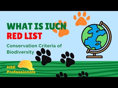 Red List Species and the Fight for Biodiversity Conservation