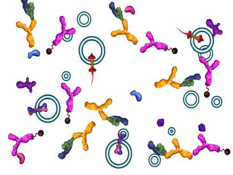 Advances in Protein Biology for Scientific Outreach