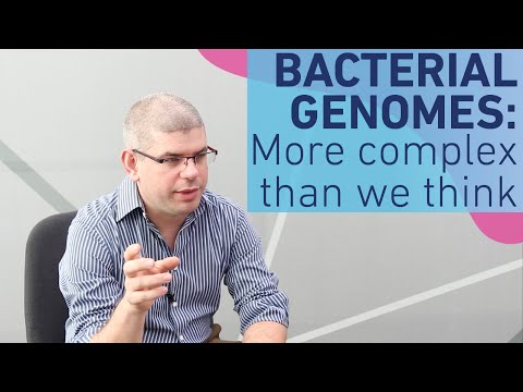 Unraveling the Complexity of Bacterial Genomes