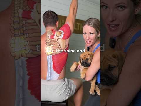 Upper Body Anatomy: Insights into Human Structure and Function