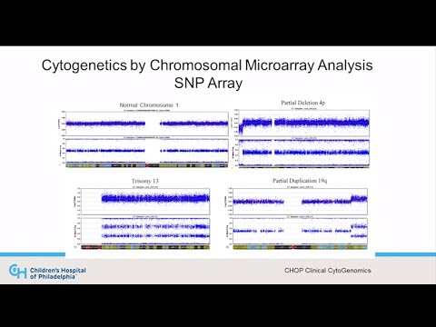 Advancements in Microarray Testing for Genetic Research