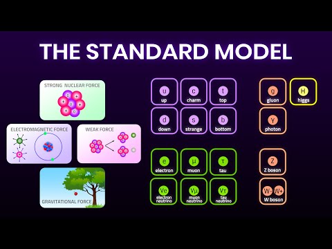 Fundamental Particles and Their Role in the Universe