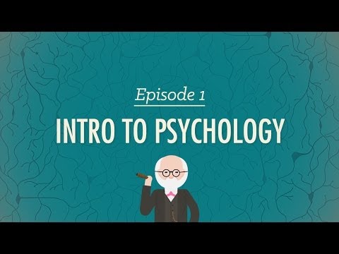 Foundations of Psychology for Science Enthusiasts