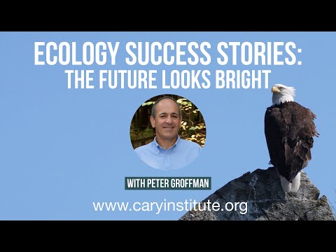 Advancing Scientific Outreach in Ecology Publications