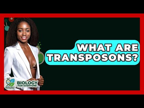 Transposable Elements and Their Role in Genetic Diversity