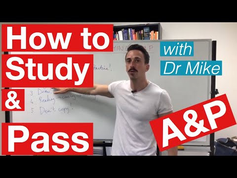 Virtual Connections in Online Anatomy and Physiology Education