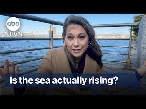 Predictions on Sea Level Rise and Its Global Effects