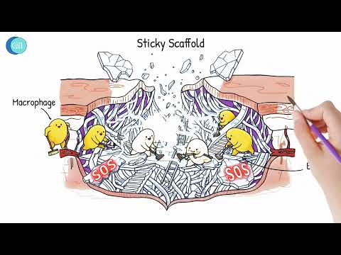 Innovations in Matrix Biology and Their Scientific Implications
