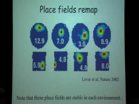 Topology and Geometry in Modern Scientific Research