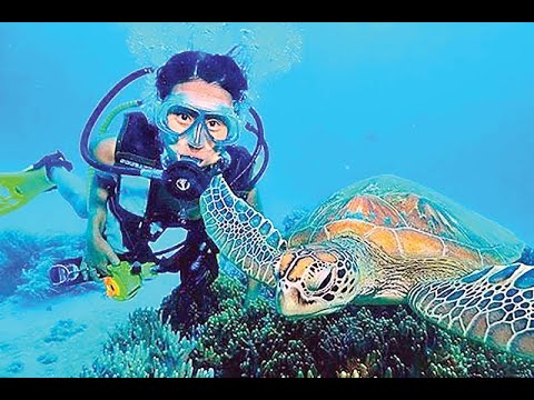 Harnessing the Wonders of Oceanic Biology for Conservation