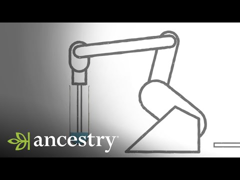 Ancestry Genetic Testing: Bridging Science and Heritage