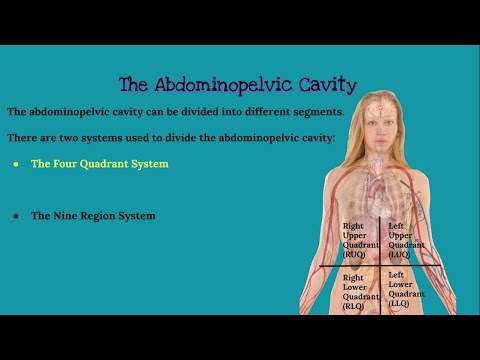Foundations of Anatomy and Physiology Chapter 1 Insights