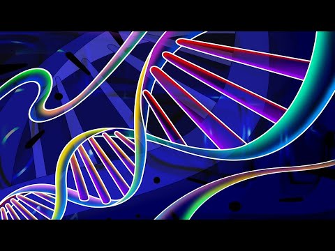 The Role of DNA Testing Companies in Scientific Research