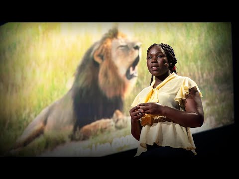 Engaging in Local Wildlife Conservation Efforts Together