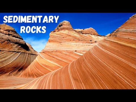 Diverse Types of Sedimentary Rocks and Their Formation Processes