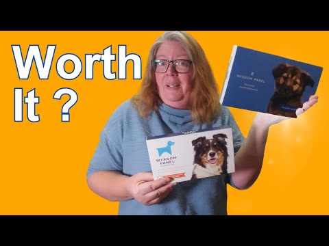 Advancements in Canine Genetics with Wisdom Panel DNA