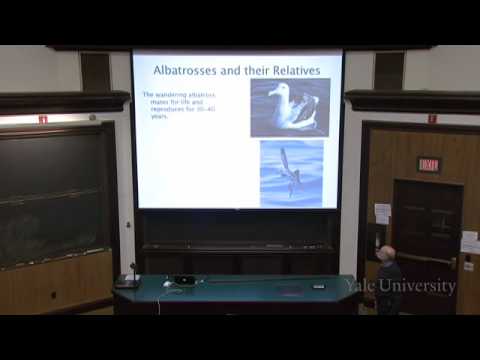 Tracing Evolution Through Gene Trees in Scientific Research