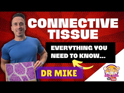 FBN1 Gene and Its Role in Connective Tissue Disorders