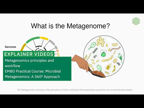 Metagenome Sequencing and Its Role in Microbial Research