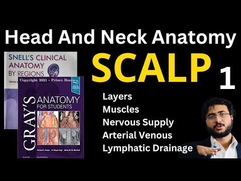 Scalp Anatomy Unveiled: Insights into Structure and Function