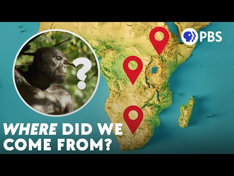 Tracing the Scientific Journey of Human Origins