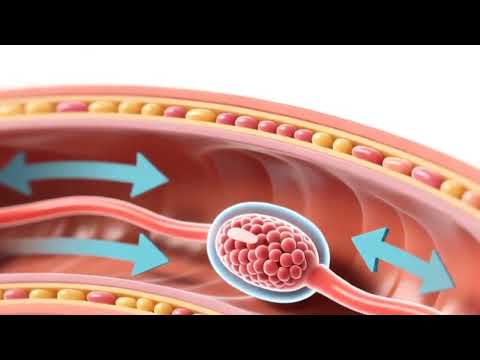 Advancements in Reproductive Biology and Its Importance