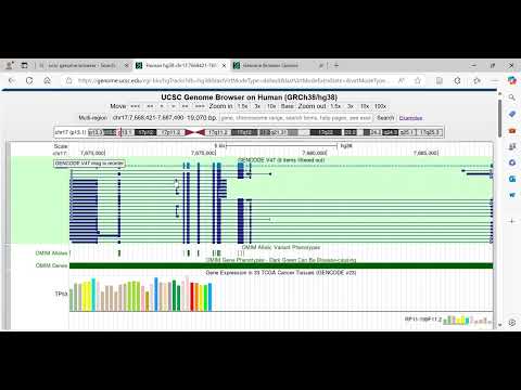 GenomeBrowser: Your Gateway to Genomic Research and Data