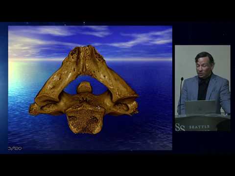 Innovative Approaches to C1 Anatomy in Scientific Outreach