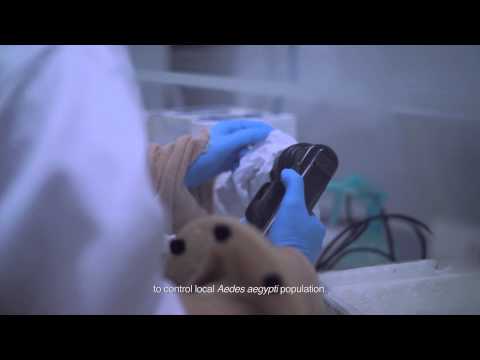 Science Initiatives by the National Environment Agency