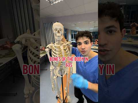 The Science Behind Skeleton Models in Education and Research