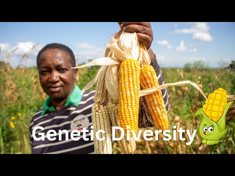 Genetic Diversity and Its Role in Evolutionary Processes