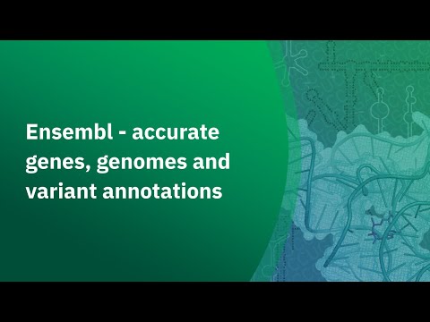 Harnessing Ensembl Gene Data for Scientific Research