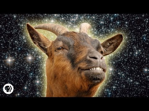 Goat Anatomy: Uncovering the Science of Their Unique Biology